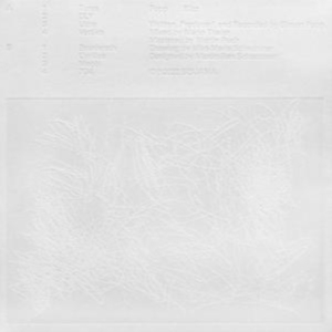 Popp - Blizz i gruppen Annet /  hos Bengans Skivbutik AB (4193892)