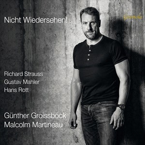 Rott Hans Strauss Richard - Rott & Strauss: Nicht Wiedersehen! i gruppen Externt_Lager / Naxoslager hos Bengans Skivbutik AB (4196900)