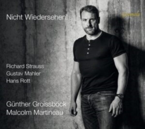Rott Hans Strauss Richard - Rott & Strauss: Nicht Wiedersehen! i gruppen Externt_Lager / Naxoslager hos Bengans Skivbutik AB (4196900)