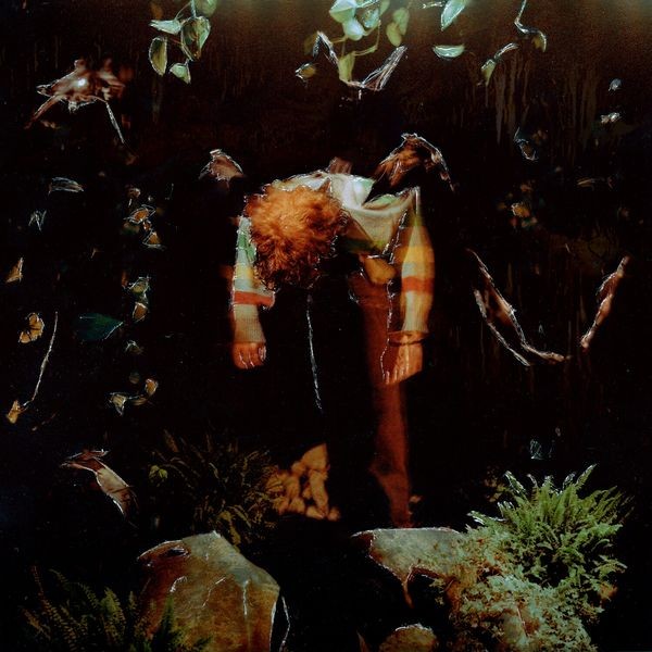 Cavetown - Worm Food i gruppen CD / Pop hos Bengans Skivbutik AB (4199333)