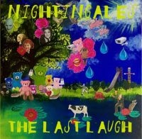Nightingales - Last Laugh i gruppen CD hos Bengans Skivbutik AB (4200753)
