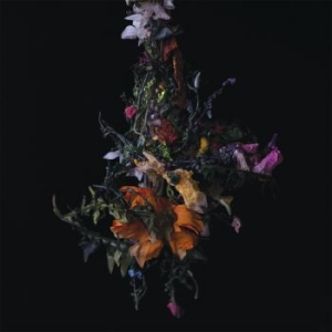 Big|brave - Nature Morte i gruppen CD / Metal/ Heavy metal hos Bengans Skivbutik AB (4202071)