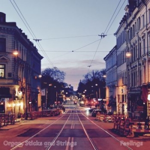 Organ Sticks And Strings - Feelings i gruppen CD / Jazz/Blues hos Bengans Skivbutik AB (4202078)