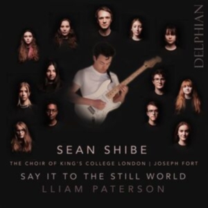 Paterson Lliam - Say It To The Still World i gruppen CD hos Bengans Skivbutik AB (4204195)