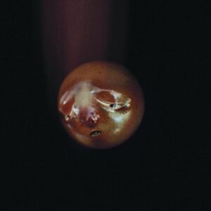 Poolblood - Mole (
