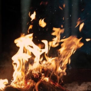 Fran - Leaving i gruppen Annet /  hos Bengans Skivbutik AB (4204561)