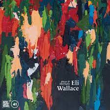 Wallace Eli - Pieces & Interludes i gruppen CD hos Bengans Skivbutik AB (4204659)