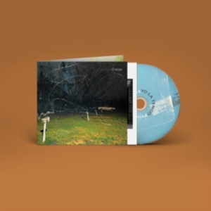Yo La Tengo - This Stupid World i gruppen CD / Pop-Rock hos Bengans Skivbutik AB (4204695)