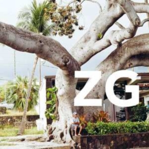 Zg - Zg i gruppen VINYL hos Bengans Skivbutik AB (4204774)