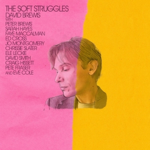 David Brewis - Soft Struggles i gruppen CD / Pop-Rock hos Bengans Skivbutik AB (4204907)
