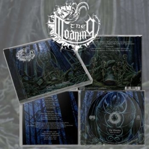 Moaning The - Blood From Stone i gruppen CD hos Bengans Skivbutik AB (4205093)