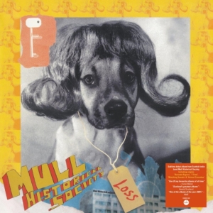 Mull Historical Society - Loss i gruppen VINYL / Pop-Rock hos Bengans Skivbutik AB (4206121)