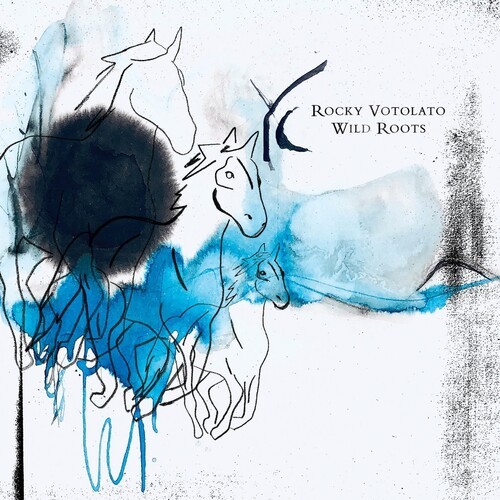 Rocky Votolato - Wild Roots i gruppen Annet / hos Bengans Skivbutik AB (4206462)