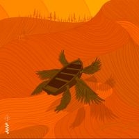 Cort Piil - Leaving Home i gruppen CD hos Bengans Skivbutik AB (4206689)