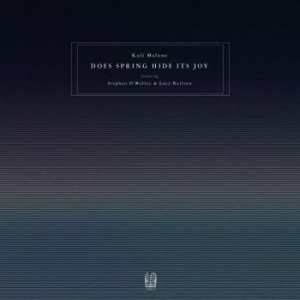 Kali Malone Featuring Stephen O'mal - Does Spring Hide It's Joy i gruppen CD / Pop hos Bengans Skivbutik AB (4206844)