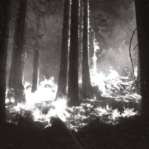 Den Sorte Dïd - Undergangen i gruppen CD / Dans/Techno hos Bengans Skivbutik AB (4206994)