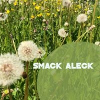Smack Aleck - Unavoidable i gruppen CD hos Bengans Skivbutik AB (4208155)
