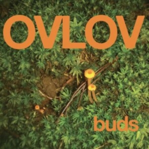 Ovlov - Buds (Indie Exclusive, Orange Vinyl i gruppen Annet /  hos Bengans Skivbutik AB (4208413)