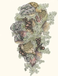 Pyrithe - Monuments To Impermanence i gruppen Annet /  hos Bengans Skivbutik AB (4208435)