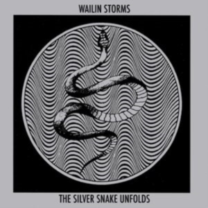 Wailin Storms - The Silver Snake Unfolds i gruppen Annet /  hos Bengans Skivbutik AB (4208436)