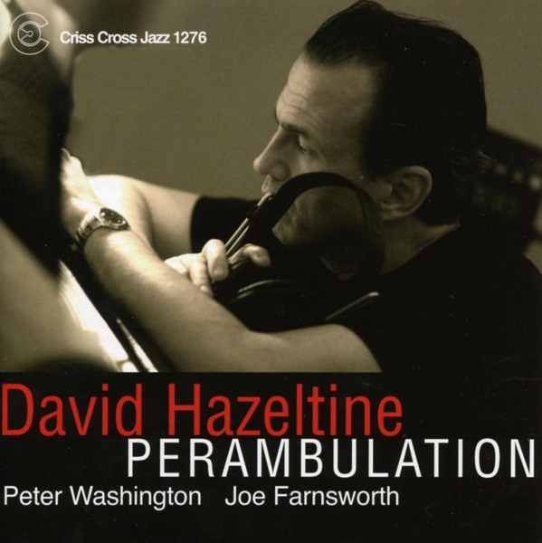 Hazeltine David -Trio- - Perambulation i gruppen CD / Jazz/Blues hos Bengans Skivbutik AB (4211836)