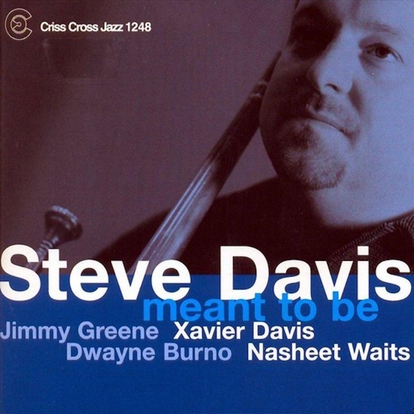 Davis Steve - Meant To Be i gruppen CD / Jazz/Blues hos Bengans Skivbutik AB (4212605)