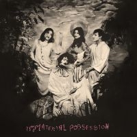 Immaterial Possession - Immaterial Possession (Transparent i gruppen VINYL / Toppselgere hos Bengans Skivbutik AB (4213650)