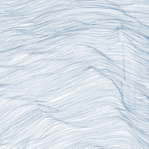 Qasim Naqvi Wadada Leo Smith Andr - Two Centuries i gruppen CD hos Bengans Skivbutik AB (4213723)