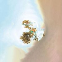Sam Goku - The Things We See When We Look Clos i gruppen VINYL / Pop hos Bengans Skivbutik AB (4213966)