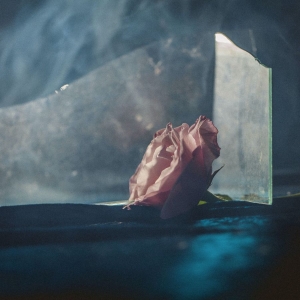 Ranaldo Lee - In Virus Times i gruppen Annet /  hos Bengans Skivbutik AB (4216391)