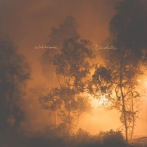 Watchhouse - Blindfaller (Clear Orange Vinyl) i gruppen Annet /  hos Bengans Skivbutik AB (4220597)