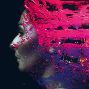 Wilson Steven - Hand.Cannot.Erase i gruppen -Start CD-N hos Bengans Skivbutik AB (4222001)