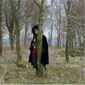 Order Of The 12 The - Lore Of The Land i gruppen CD hos Bengans Skivbutik AB (4222017)