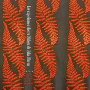 Jako Maron - The Electro Maloya Experiments Of J i gruppen VINYL / Dance-Techno hos Bengans Skivbutik AB (4222071)