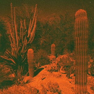 Knowler Cameron & Eli Winter - Anticipation i gruppen CD hos Bengans Skivbutik AB (4222225)