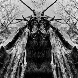 Rulaman - To Serve The Dune (Digipack) i gruppen CD / Pop-Rock hos Bengans Skivbutik AB (4222364)
