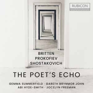 Summerfield - Poet's Echo i gruppen CD hos Bengans Skivbutik AB (4224890)