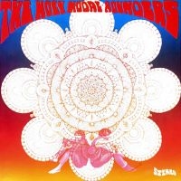Holy Modal Rounders The - Indian War Whoop (Deluxe Edition) i gruppen VINYL / Metal,Pop-Rock hos Bengans Skivbutik AB (4225260)