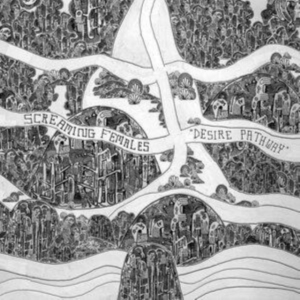 Screaming Females - Desire Pathway i gruppen CD hos Bengans Skivbutik AB (4225585)