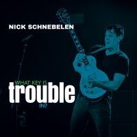 Schnebelen Nick - What Key Is Trouble In? i gruppen CD hos Bengans Skivbutik AB (4225613)