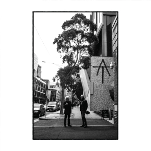 Tim Finn - At i gruppen CD hos Bengans Skivbutik AB (4227853)