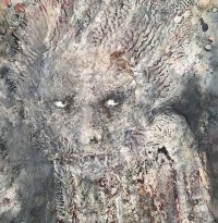 Stargazer's Assistant The - Fire Worshipper (Vinyl Lp) i gruppen VINYL hos Bengans Skivbutik AB (4230354)