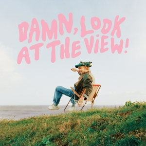 Martin Luke Brown - Damn, Look At The View! i gruppen VINYL hos Bengans Skivbutik AB (4231888)