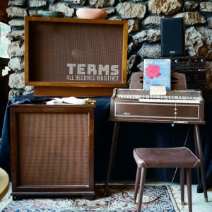 Terms - All Becomes Indistinct (Random Col i gruppen VINYL hos Bengans Skivbutik AB (4232389)