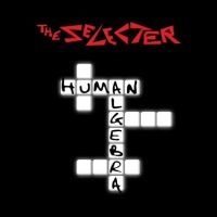 Selecter The - Human Algebra i gruppen CD hos Bengans Skivbutik AB (4233214)