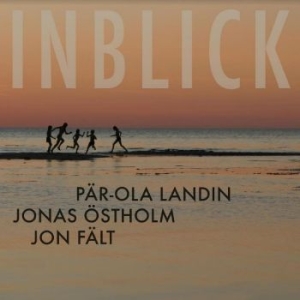 Landin Pär-Ola - Inblick i gruppen CD / Jazz,Rockabilly hos Bengans Skivbutik AB (4233412)