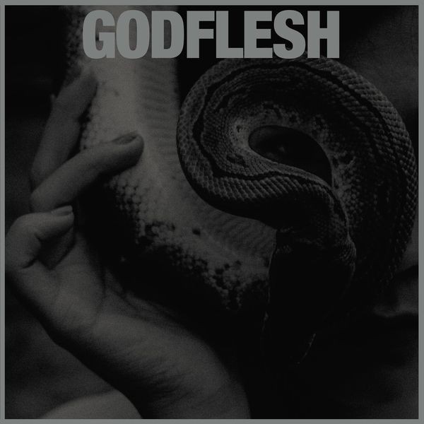 Godflesh - Purge (Vinyl Lp) i gruppen VINYL / Pop-Rock hos Bengans Skivbutik AB (4236134)