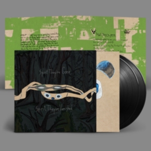 Animal Collective - Spirit They're Gone, Spirit They've i gruppen VINYL / Pop-Rock hos Bengans Skivbutik AB (4239764)