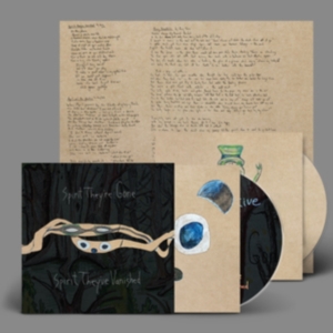 Animal Collective - Spirit They're Gone, Spirit They've i gruppen CD hos Bengans Skivbutik AB (4239768)