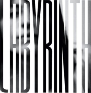 Heather Woods Broderick - Labyrinth i gruppen VINYL / Pop-Rock hos Bengans Skivbutik AB (4240334)